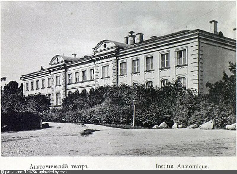 Загорский анатомия. Анатомическая школа загорского. Анатомическая школа загорского. Анатомическая школа загорского. Анатомическая школа загорского.