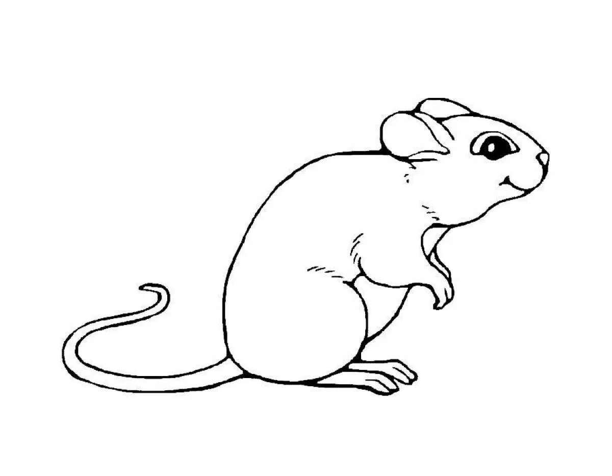 Раскраска мышка. Раскраска Миша. Мышь раскраска для детей. Раскраска мышонок. Раскраска мышь распечатать