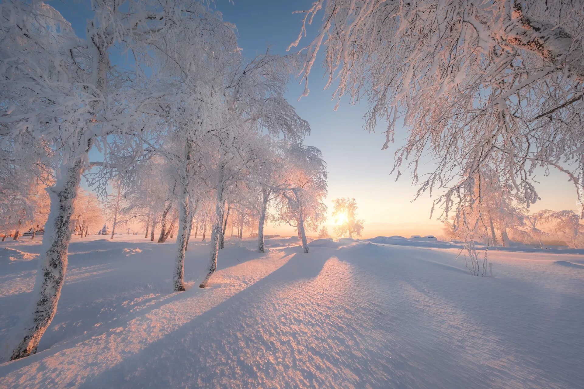 Зимнее утро картинки. Зимнее утро. Зимний рассвет. Рассвет зимой. Утро зимой.