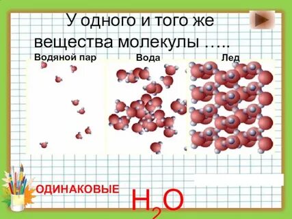 Все молекулы одного и того же вещества