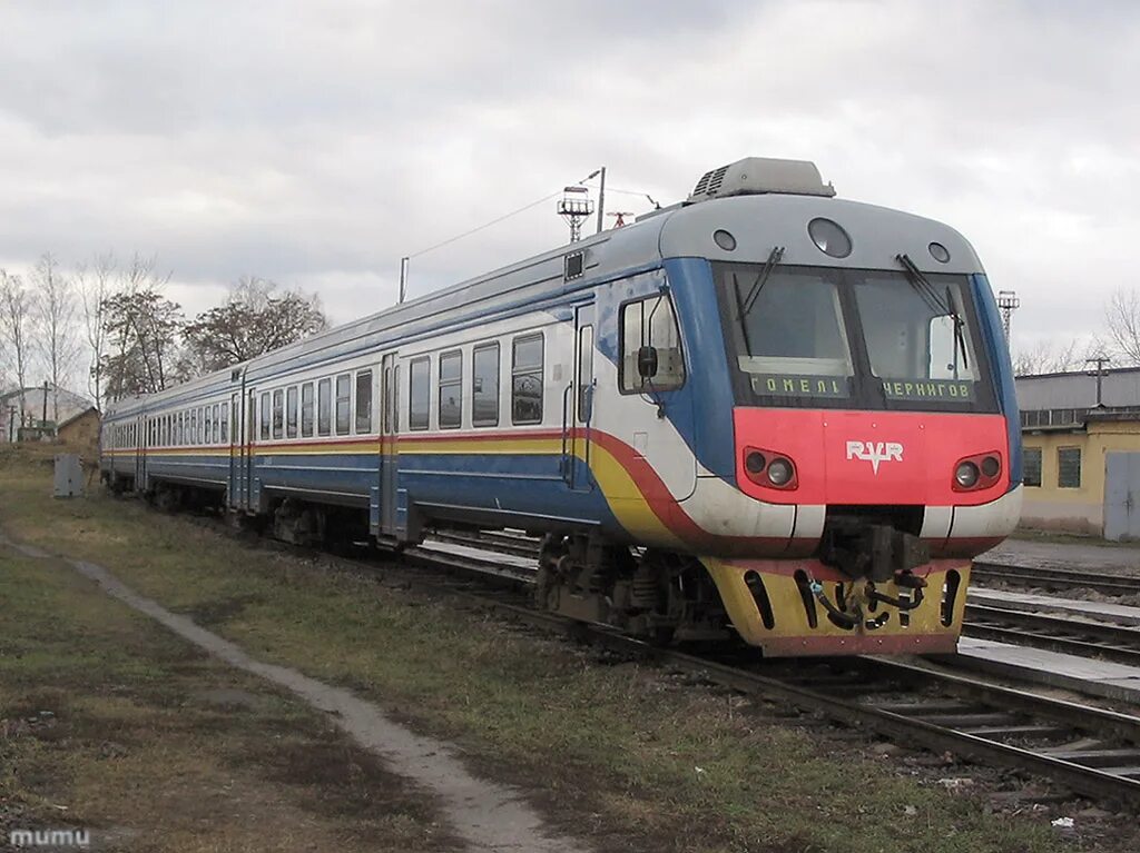 Поезд гомель речица на сегодня. Др1б 501. Др1б-504. Др1б БЧ. Белорусский дизель поезд.