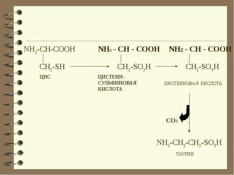 Ch ch ch cooh nh. Ch3ch(sh)Ch(nh2)Cooh. Nh2-ch2-ch2-nh2. Аминокислоте HS ch2-Ch nh2 -Cooh соответствуют названия. Ch2 Ch nh2 Cooh название.