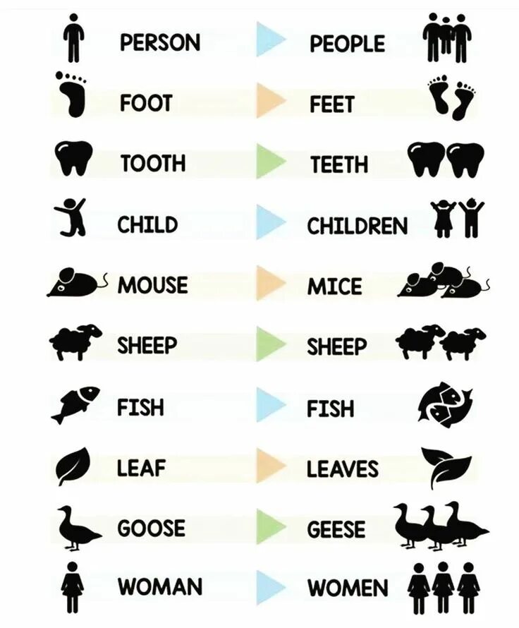 Change in the plural the child. Irregular plurals список. irregular plural nouns. plural nouns исключения. irregular plurals для детей.