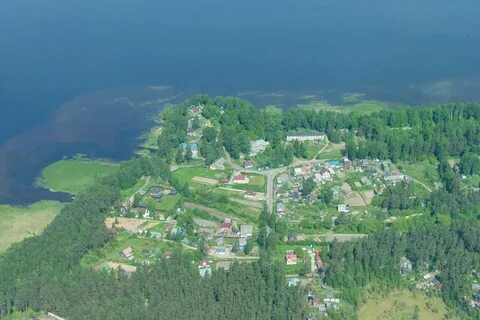 Левашова поселок ленинградская область