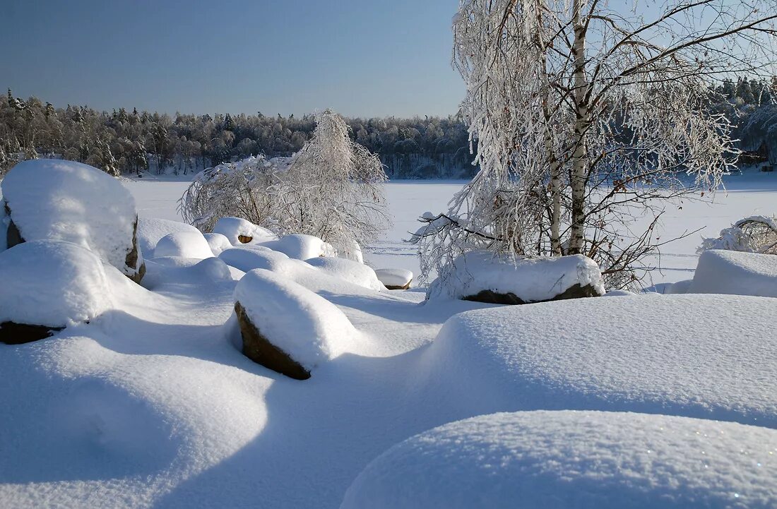 Природа снег и лед. Снег и лед в природе. Снег и лед в природе и в городе. Сугробы. Картинки льда и снега.