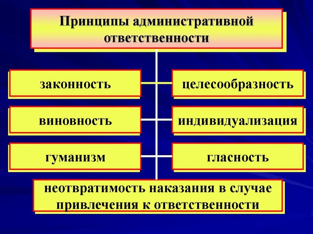 Принципы административной ответственности. Признаки административной ответственности. Принципы административной ответственности схема. Принципы административноймответствености. Реализация административной ответственности