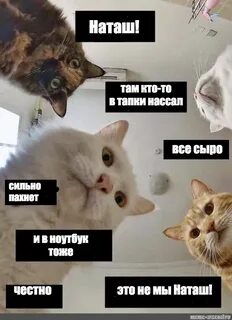 Честно тоже