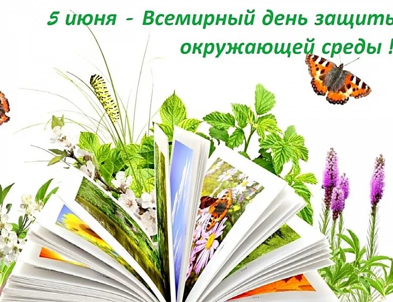 Всемирный день окружающей среды. Всемирный день окружающей среды 2022. Всемирный день экологии. 5 июня всемирный день окружающей среды. Всемирный день охраны окружающей среды.