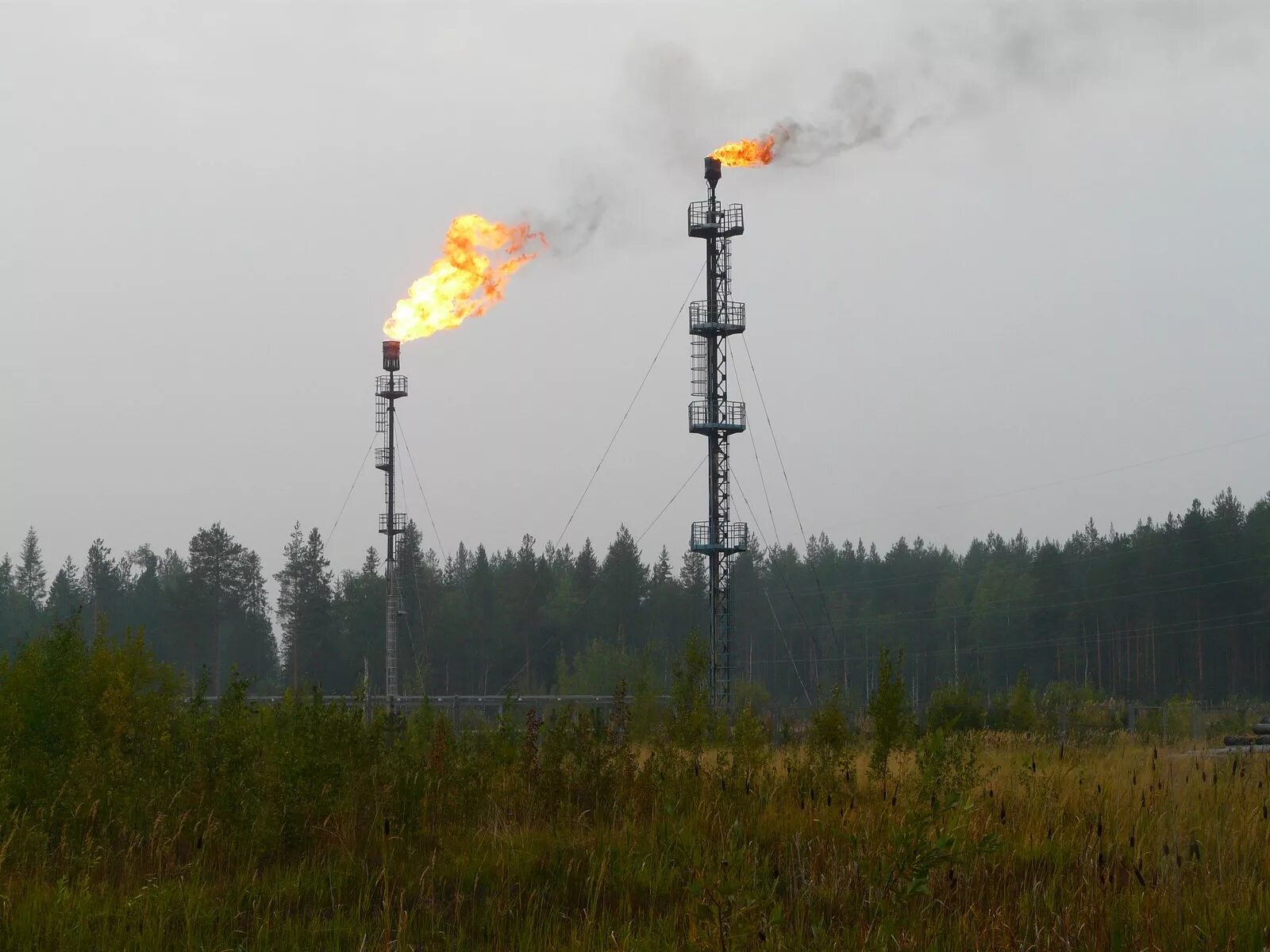 Факел газовый в ХМАО. Факел сжигания попутного газа. Месторождение Сургут факел. Попутный нефтяной ГАЗ факел.