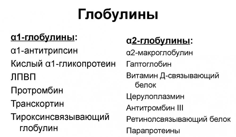 Альфа 2 глобулин понижен. Альфа 1 глобулины функции. Альфа глобулины функции. Альфа-2 глобулин повышен причины. Классификация глобулинов.