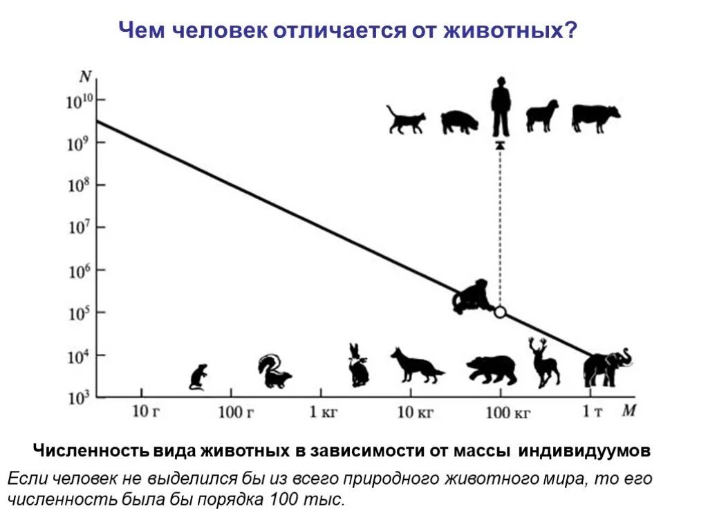 Отличаются в зависимости от. Виды численности. Численность людей и животных. Зависимость человека от животных. Распределение количества видов животных.