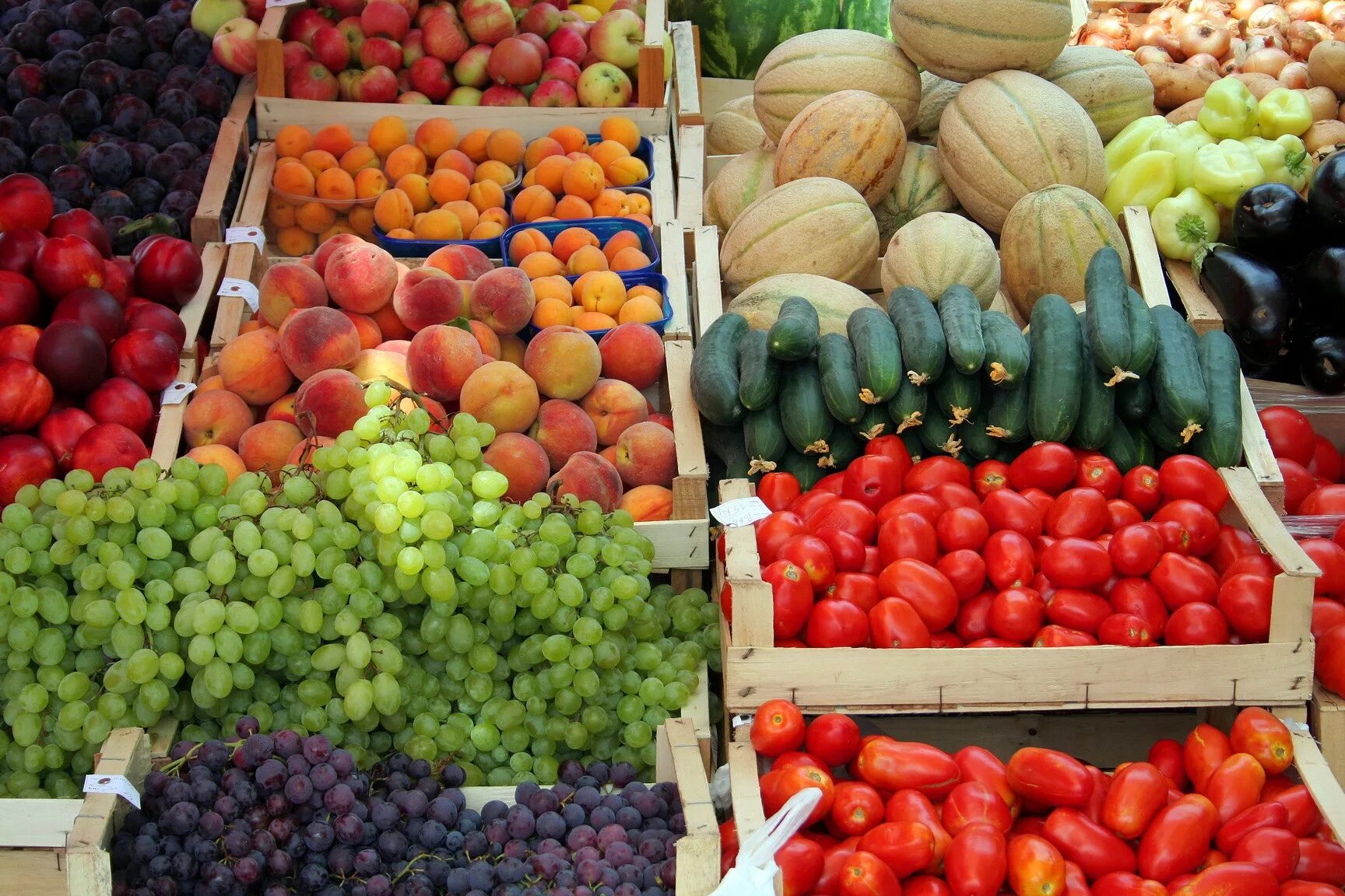 Импорт сельхозпродукции