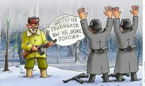 Анекдоты про партизан