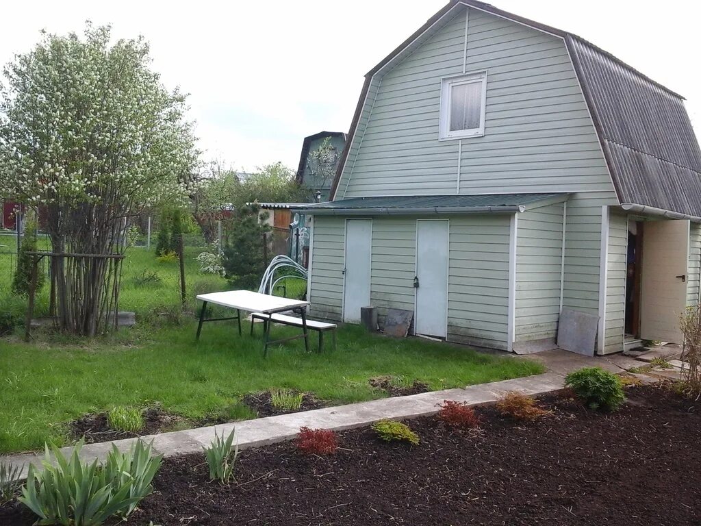 Дача снт вертолет можайск-. Дачи в снт григорчиково. Софрино дача. Проживание в снт. Ул дачная апрелевка.