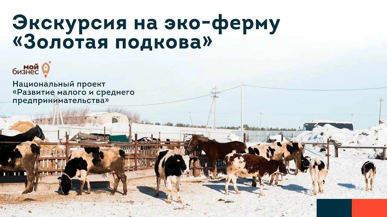 Эко ферма в моих лугах п новый буян. Экоферма нестеровых тверь. Эко ферма в самаре в моих лугах. Экоферма самара. Экоферма самара.