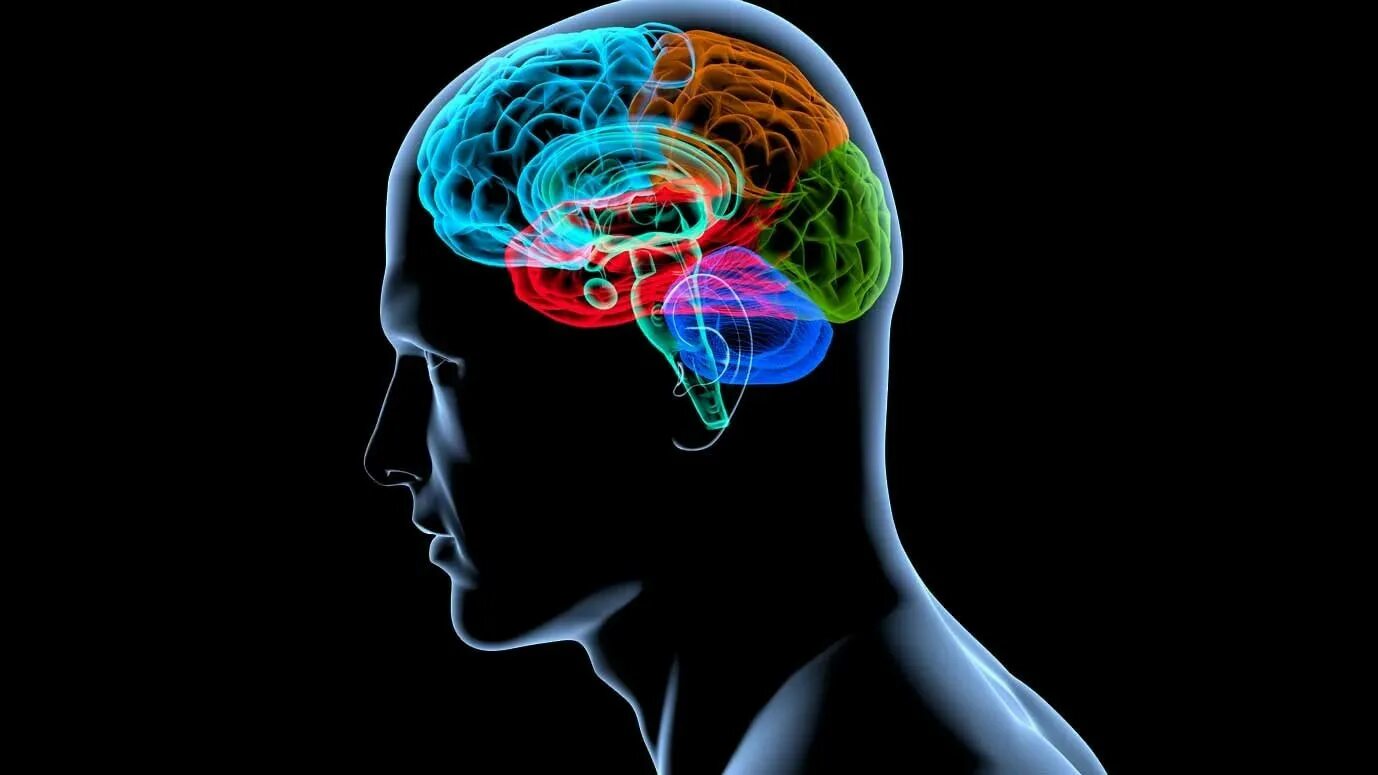Brain information. Нейромаркетинг: визуализация эмоций. Нейромаркетинг в рекламе. Недомаркетолог. Нейромаркетинг это в маркетинге.