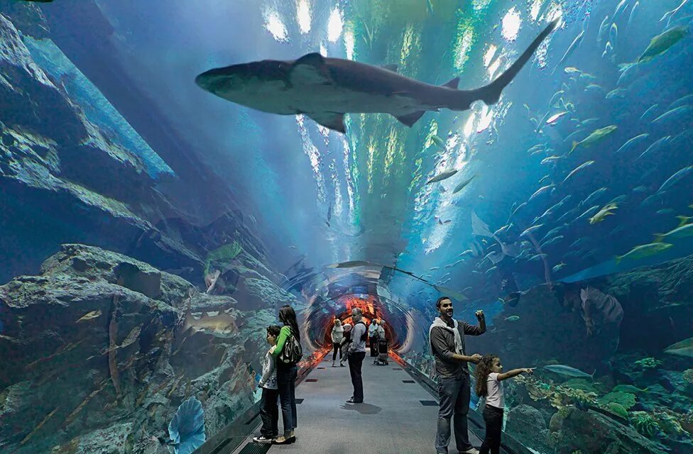 Аквариум "dubai mall" (оаэ, дубай). Дубайский аквариум и подводный зоопарк дубай. Дубай молл аквариум. Дубай аквариум дубай молл. Подводный зоопарк в дубай молл.