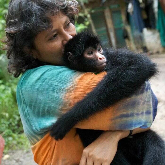 Touch animals. Обезьянки обнимаются. Люди и животные. Обезьяна в обнимку с человеком. Человек с обезьянкой.