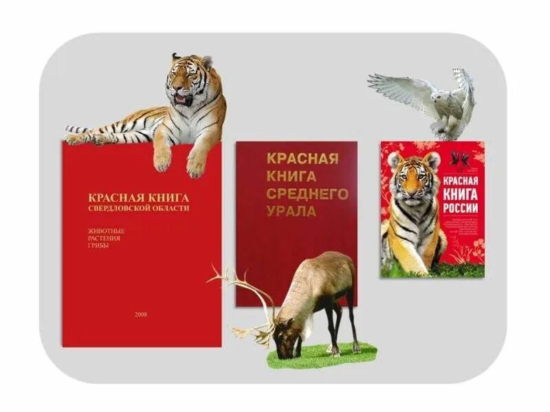 Красная книга россии свердловская область. Красная книга животных Свердловской области. Красная книга Свердловской области книга. Красная книга Свердловской области книга животные. Красная книга Южного Урала обложка.