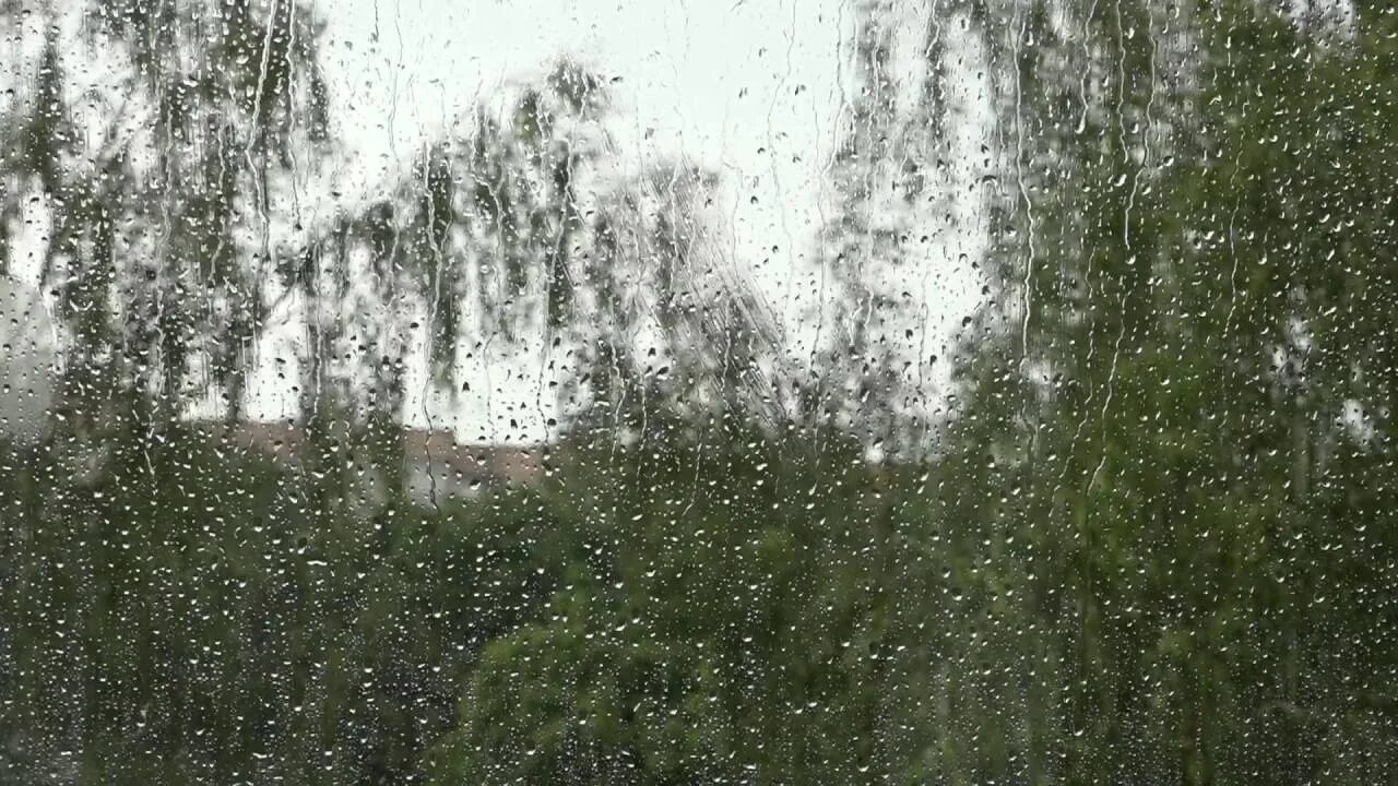 Песни дожди косые дожди. Дождь за окном. Летний дождь за окном. Косой дождь. Летний дождь в окне.