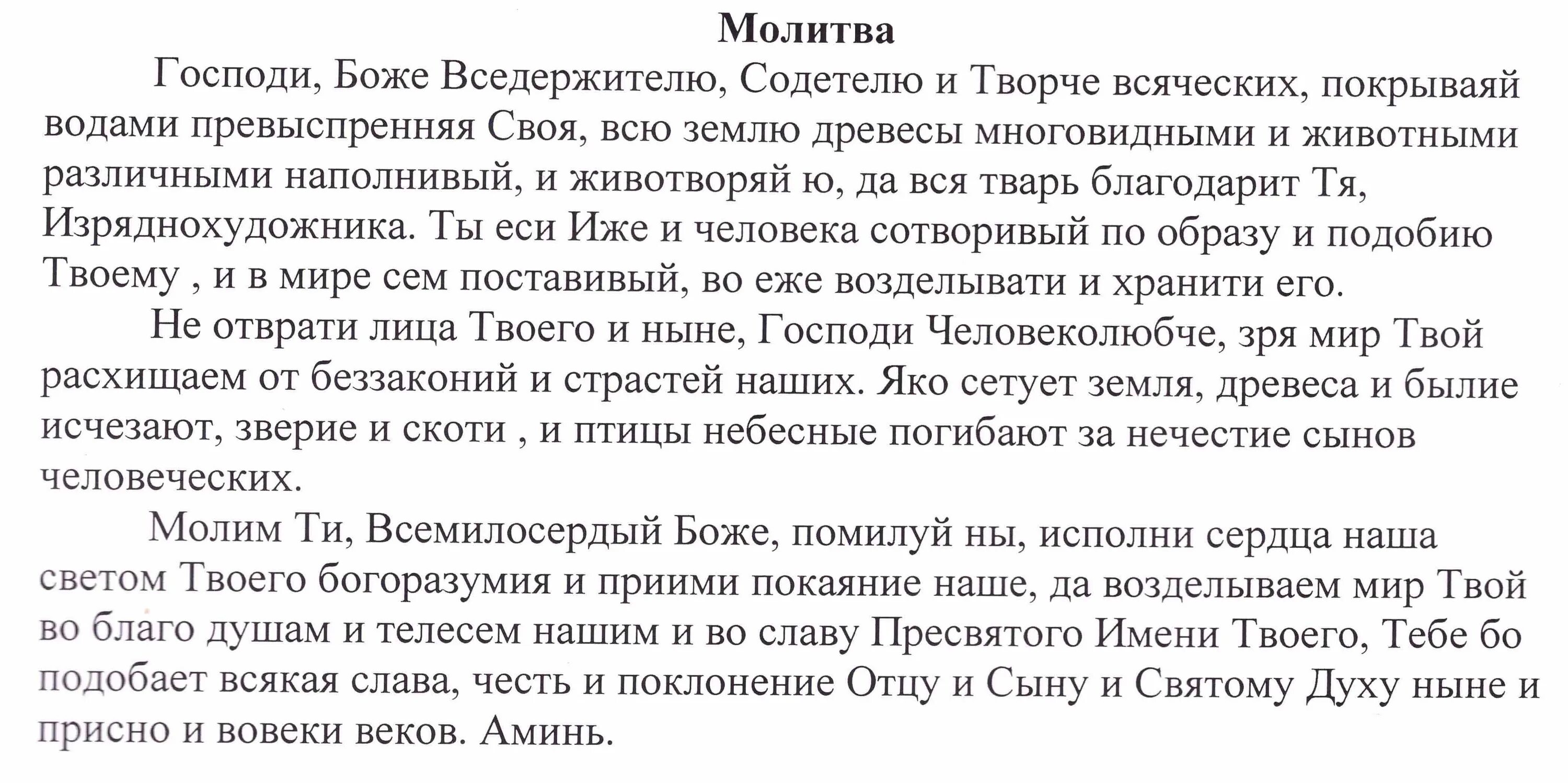 Молитва владыка вседержителю святый. Молитва Вседержителю. Молитва Господи Вседержителю. Молитва Владыко Вседержителю Святый. Молитва царю Вседержителю.