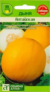 Дыня алтайская описание отзывы