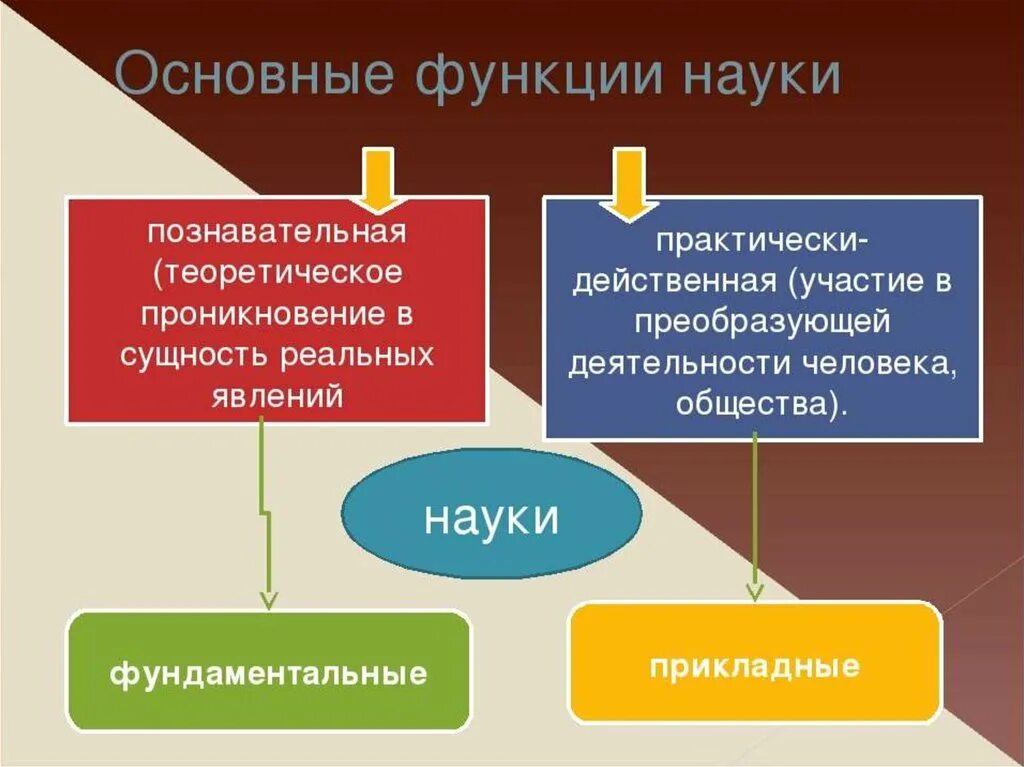 Основные функции науки познавательная. Функции науки Обществознание. Роль науки в обществе. Основные функции науки в обществе. Проиллюстрировать функции науки примерами