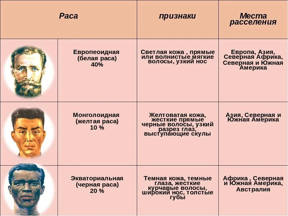 Какие лица могут быть представителями. Таблица расы человека и характерные признаки. внешние признаки рас таблица. таблица раса человека признаки расы. таблица европеоидная монголоидная негроидная.