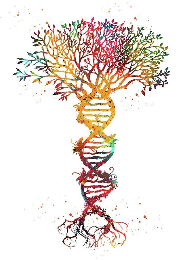 Днк 11 03 2024. Дерево ДНК. Дерево жизни. Изображение ДНК. Древо жизни ДНК.