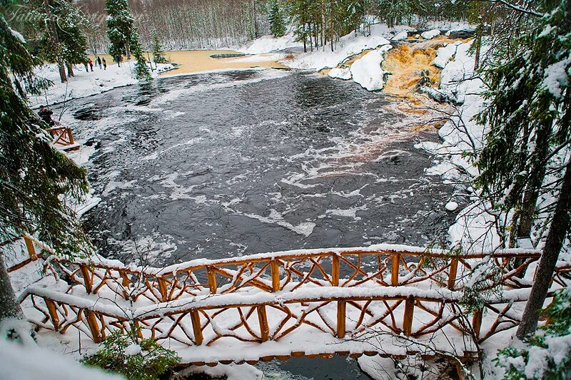 Дубовая роща на вднх экотропа. Заповедник столбы экотропа. Парк бастион карелия. Экологическая тропа зимой. Красноярск экотропа столбы.
