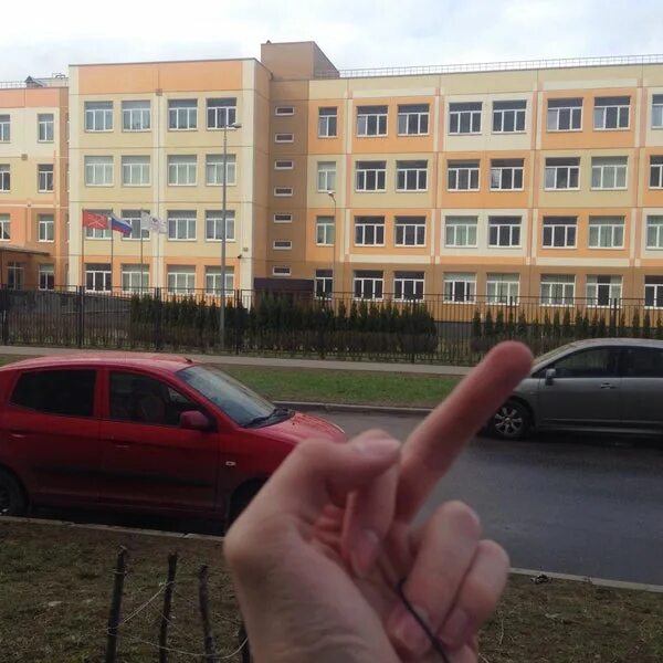 Школа 471 санкт петербург. 365 школа фрунзенского района. Школа 471 санкт петербург осиновая роща. Школа 471 санкт петербург. Школа в осиновой роще.