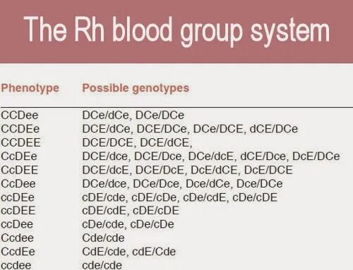 Фенотип крови c c e e. Редкий фенотип крови. Фенотип крови c+c-e-e+. Фенотип CCDEE. CCDEE фенотип крови редкий.