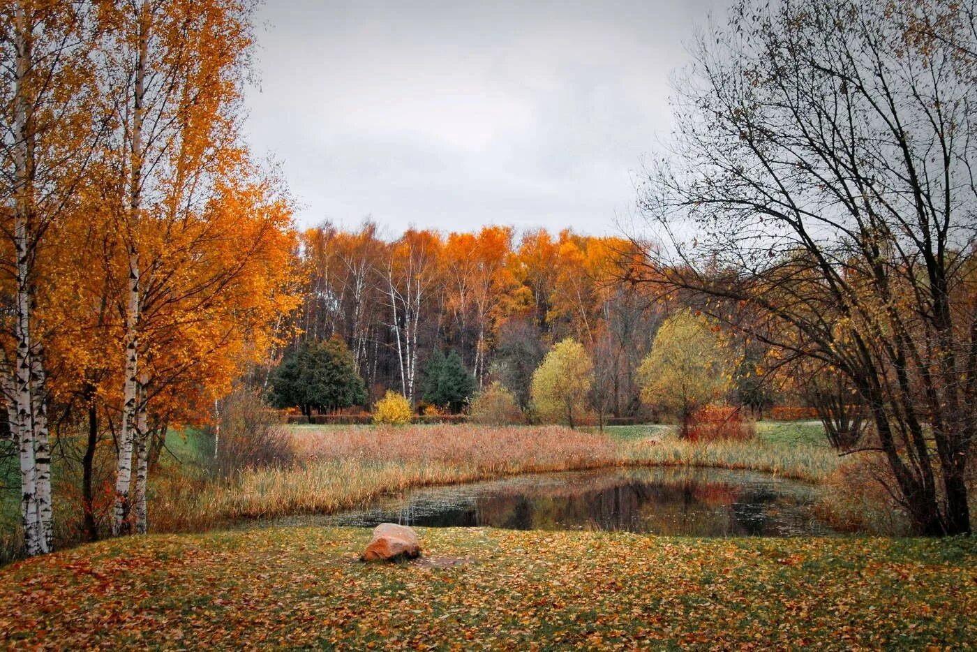 Абрамцево Золотая осень. Осень в Абрамцево. Осень октябрь. Октябрь природа.