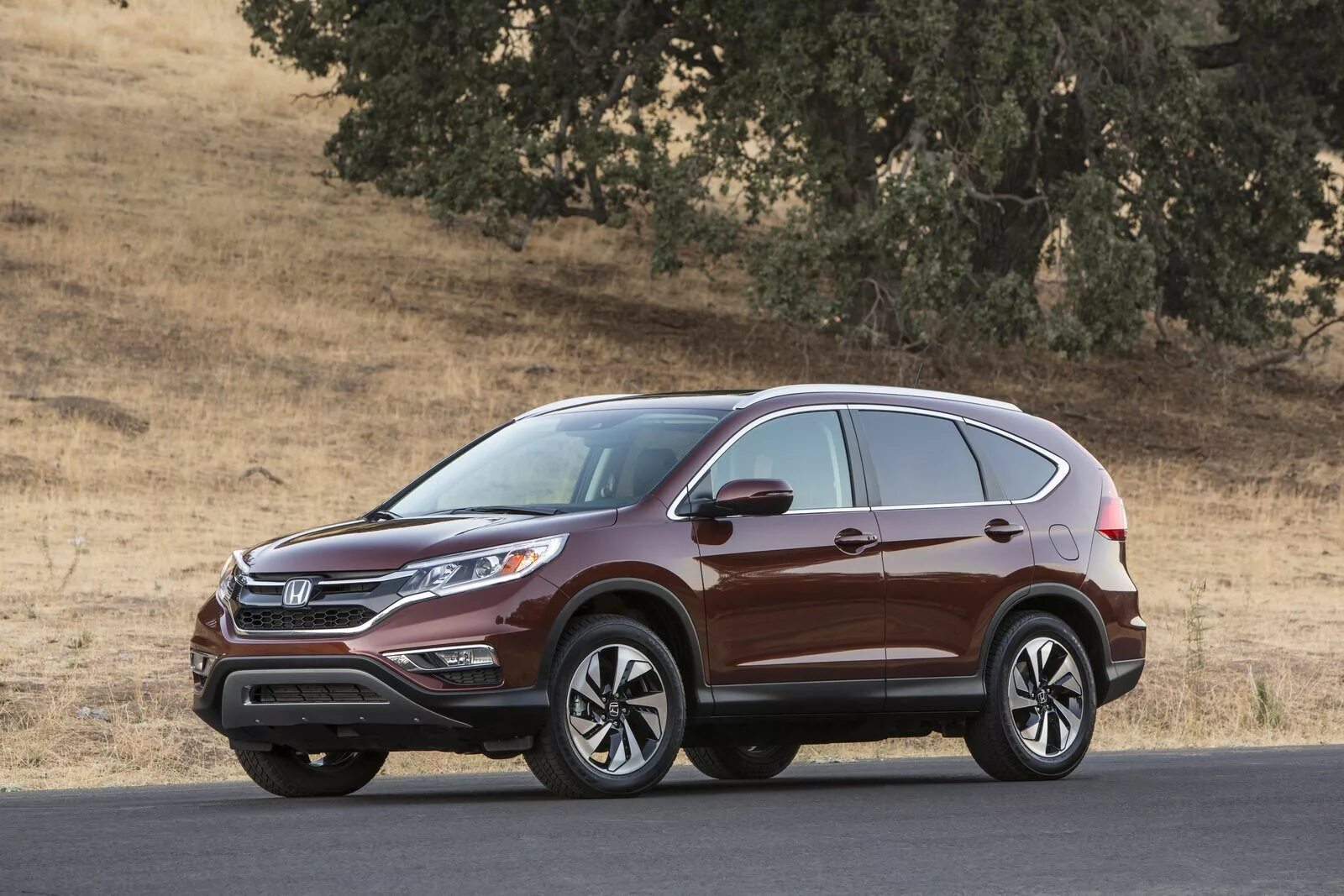 Honda cr v кузова. Honda CR-V 2015. Хонда СРВ 4. Honda CR-V 4 2015. Honda CRV 2015 года.