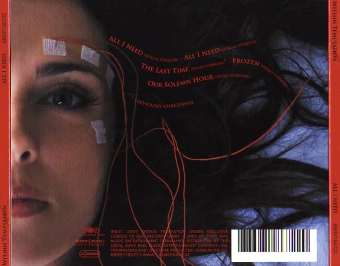 Within translate. Within temptation all i need. all i need перевод. txt temptation альбом. within temptation frozen.