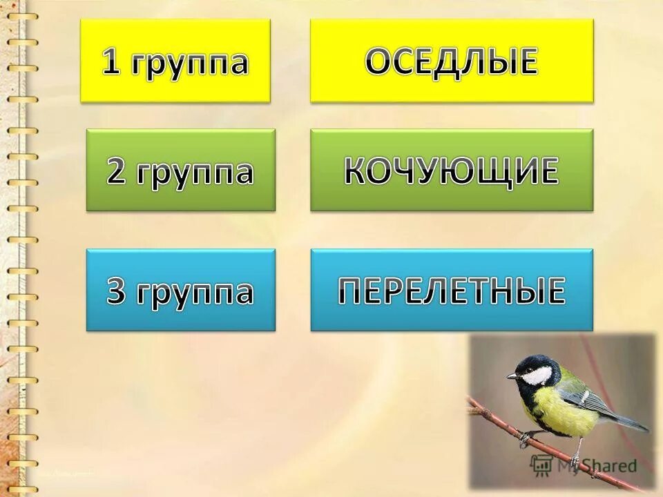 Перелетные и оседлые птицы. Оседлые Кочующие и перелетные. Оседлые зимующие и перелетные птицы. Птицы зимующие- Кочующие и осёдлые, перелётные.