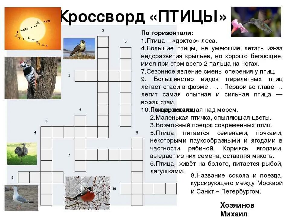 Кроссворд про окружающий мир. Кроссворд про птиц. Кроссворд с вопросами и ответами. Кроссворд на тему животные. Кроссворд про животных с ответами.