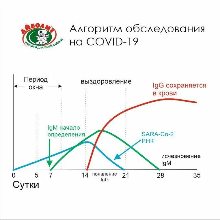 График выработки антител к коронавирусу. Антитела IGM IGG iga. Антитела IGM И IGG коронавируса. Количество антител IGG.