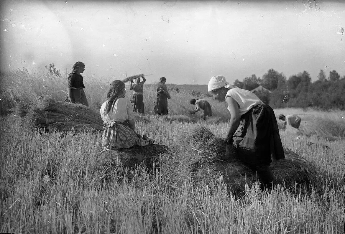 крестьяне временно уходившие. ирландцы 19 века деревня. русские крестьяне. крестьяне вынужденные уходить на заработки на мануфа. посессионные крестьяне и приписные крестьяне.