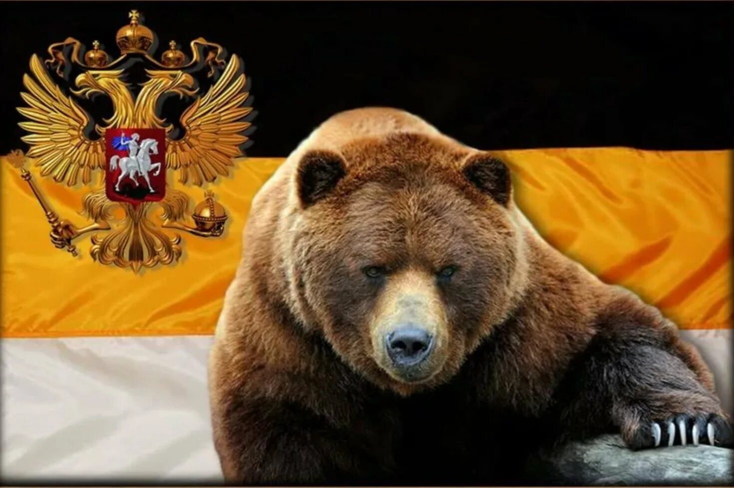 Лучший медведь года. Медведь символ россии. медведь с флагом. медведи синвел россии?. флаг россии с медведем.