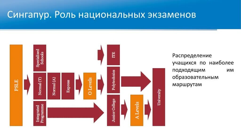 Ступени образования в Сингапуре. Сингапурская система образования схема. Уровень образования в Сингапуре.