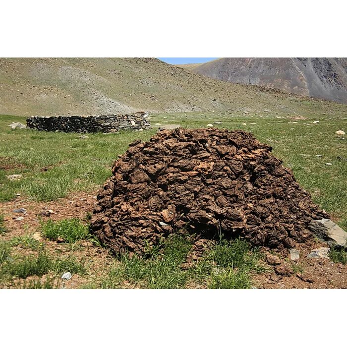 Кизяк что это абраево. Сушеный навоз. Кизяк что это абраево. Кизяк что это такое. Мордовский кизяк.