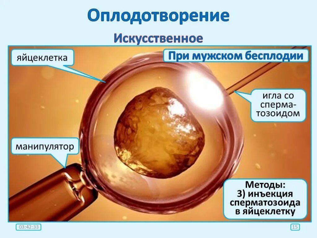 Искусственное оплодотворение. Искусственное оплодотворение яйцеклетки. Искусственная яйцеклетка. Экстракорпоральное оплодотворение презентация.