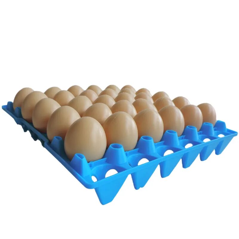 Сколько яиц в лотке. Яйца лоток 30. Яйцо лоток 30 штук. Лоток для утиных яиц td 63. Лоток для яиц МИЛИХ пластик 5043.