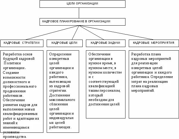 Кадровое планирование функции. Кадровое планирование функции. Цели задачи и методы кадрового планирования. Кадровое планирование функции. Функции кадрового планирования.
