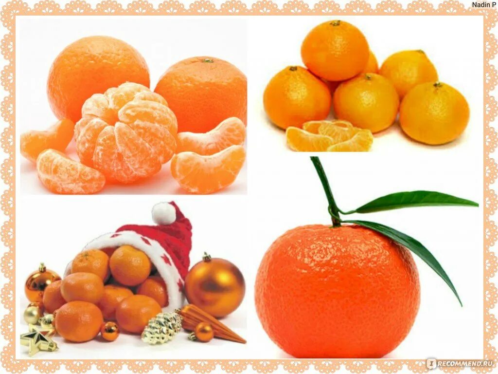 Мой любимый фрукт мандарин. Бренды цитрусовых фруктов. Любимый фрукт апельсин. Любимый фрукт мандарин характер. Мандарин каталог товаров