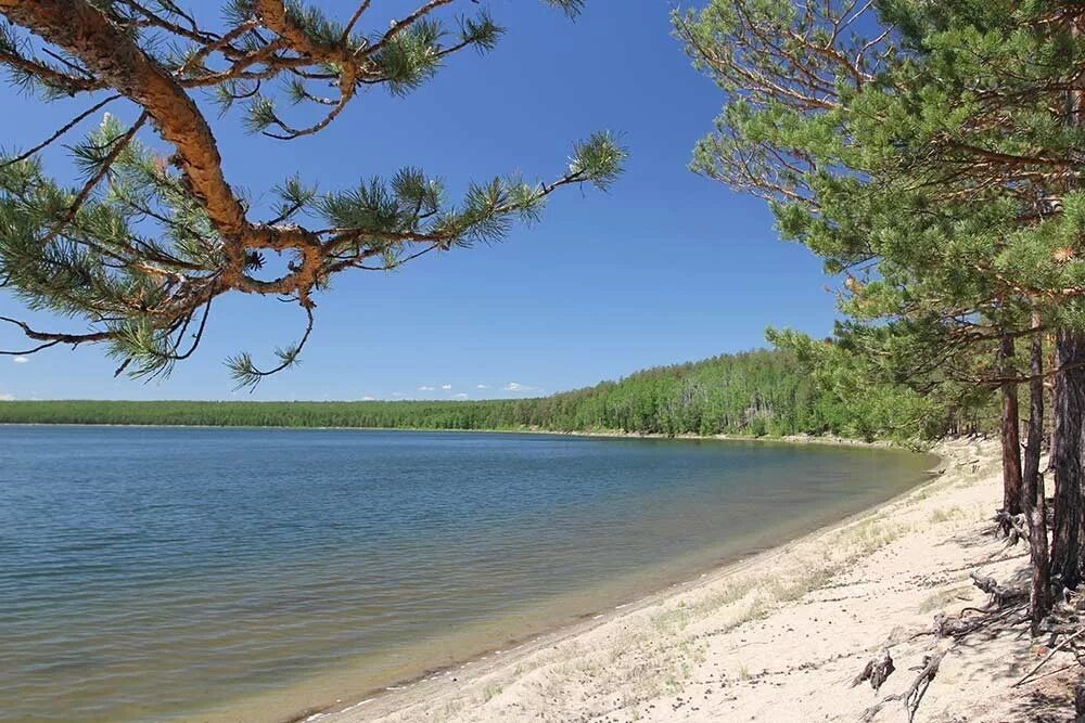 озеро арахлей забайкальский край. озеро арей. озеро арей. озеро арей чита. озеро арейское забайкальский край.