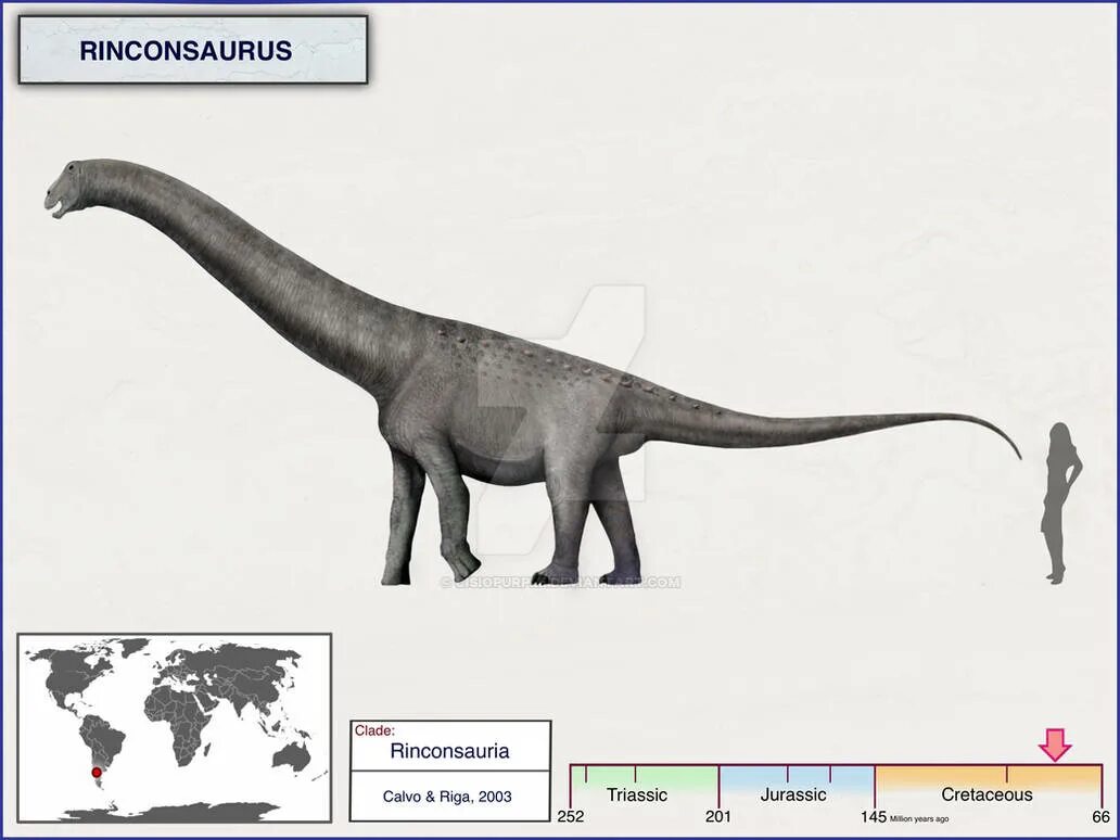 Рубеозавр. Cisiopurple динозавры. Как выглядят завроподы. Riojasaurus динозавр.