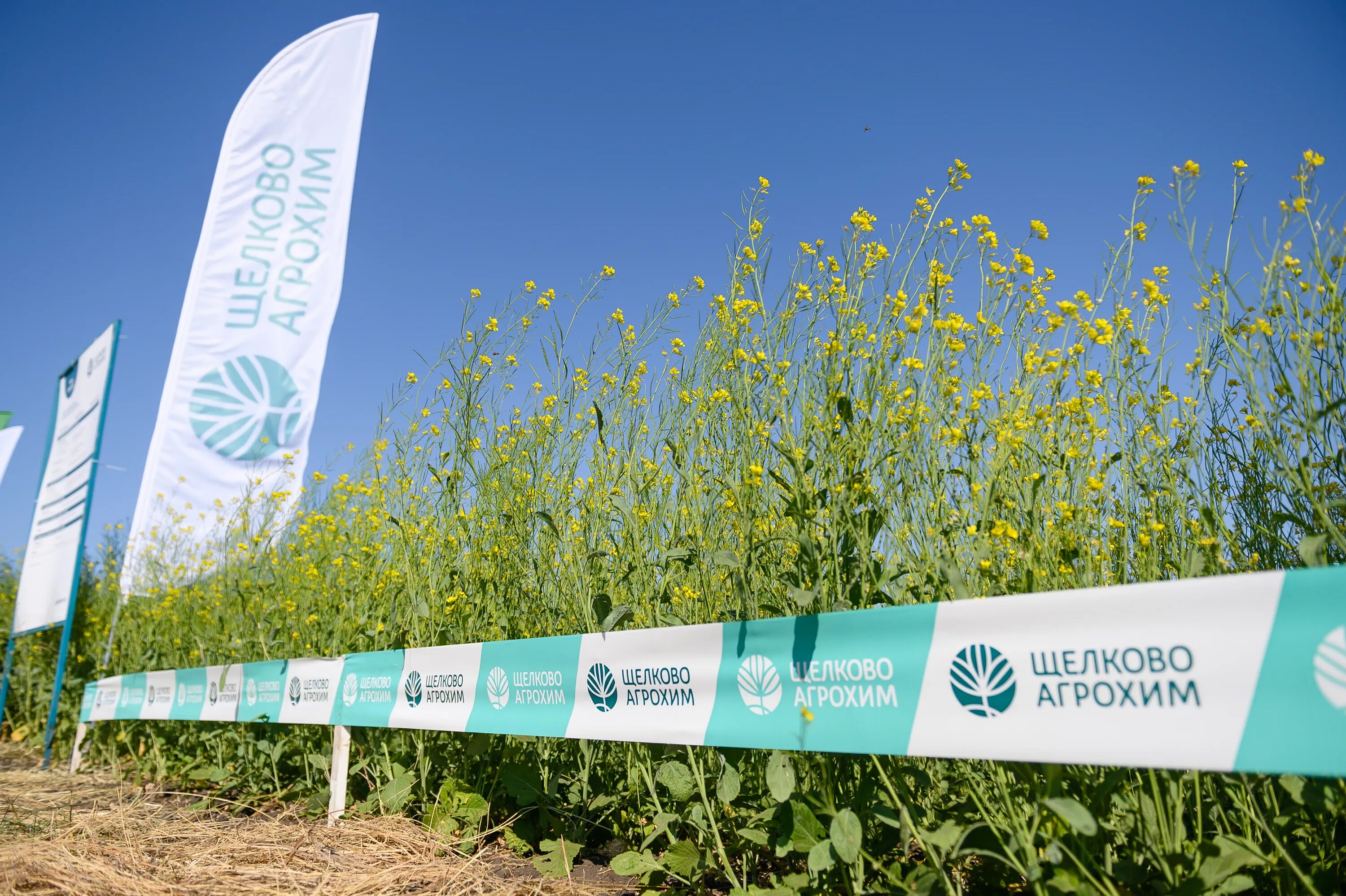 щелково агрохим логотип. щелково агрохим заводы.