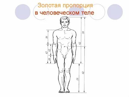 В пропорции 4 8